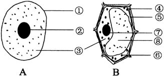 如何正确维持蚯蚓呼吸 科学观察方法解析