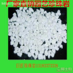 珍珠岩在园艺与育苗中的应用 专业基质与细胞培养的优选