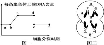 耐热细菌蛋白酶的生物特性及其与胃蛋白酶和唾液淀粉酶的比较研究