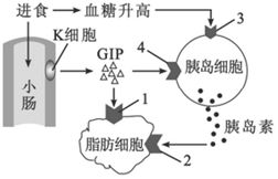 高中生物专题解析 细胞培养技术及其应用