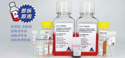 探索生命科学的精密工具 HyCyte海星生物干细胞培养产品全解析